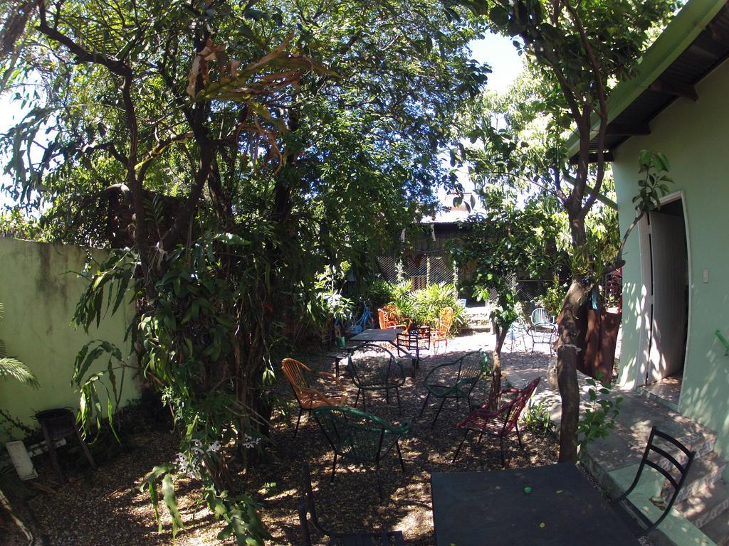 أسونسيون Hamaca Paraguaya Hostel المظهر الخارجي الصورة