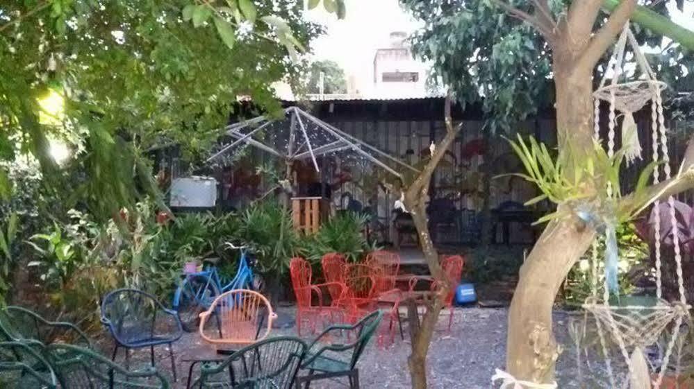 أسونسيون Hamaca Paraguaya Hostel المظهر الخارجي الصورة